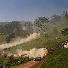 FIA, Motorsport, Mobility, Road Safety, F1, WRC, WEC, WTCC, World RX