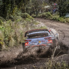 FIA WRC - Rally Argentina - T. Neuville / N. Gilsoul