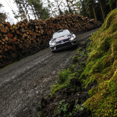 FIA, Motorsport, Mobility, Road Safety, F1, WRC, WEC, WTCC, World RX