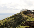 WRC 2012 - Rally New Zealand - P. Solberg / C. Patterson (DPPI)