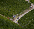 2019 Rallye Deutschland - O. Tänak / M. Järveoja