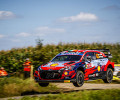 2021 WRC - Ypres Rally Belgium - T. Neuville / M. Wydaeghe (DPPI / Gregory Lenormand)