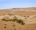FIA, Cross-country rally, Rally, motor sport