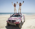 FIA, Cross-country rally, Rally, motor sport