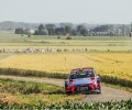 Rally Ypres - T. Neuville / N. Gilsoul