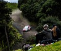 2022 WRC - Repco Rally New Zealand - Kalle Rovanperä (FIN) / Jonne Halttunen (FIN), Toyota Gazoo Racing (photo: Jaanus Ree / Red Bull Content Pool)